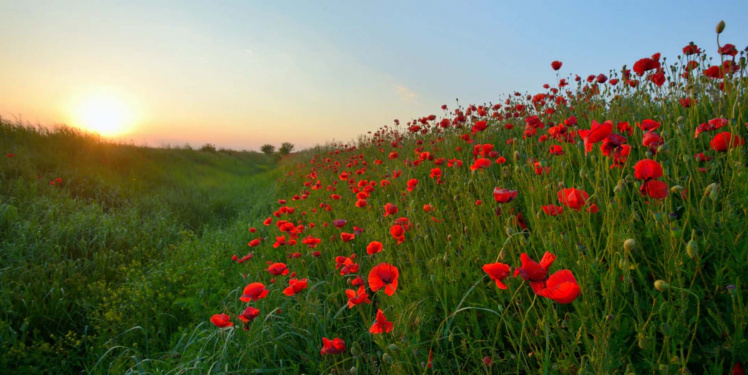 Kent & Sussex Memorials